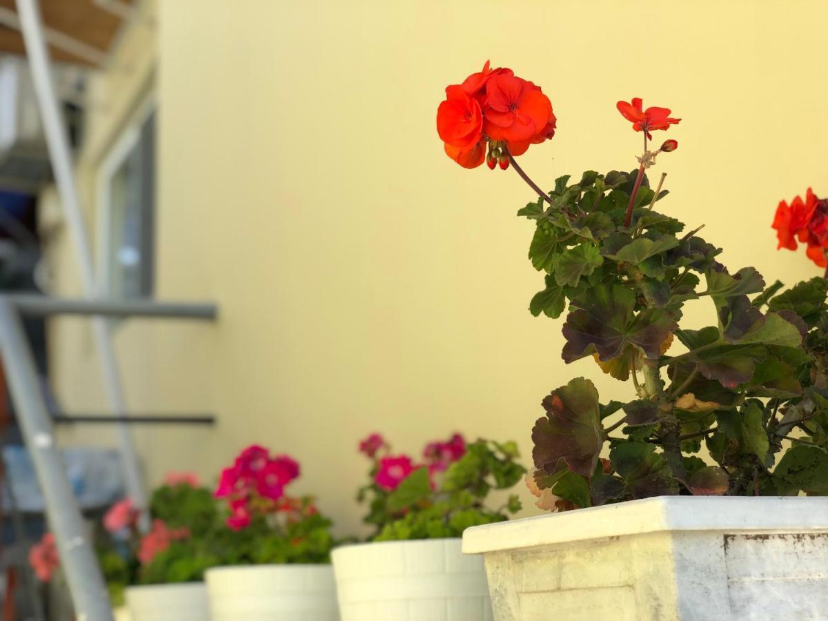 Guest House Paskal Balchik Exterior foto