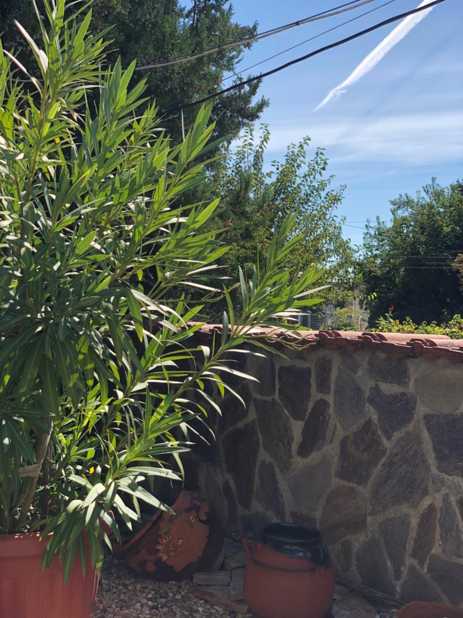 Guest House Paskal Balchik Exterior foto